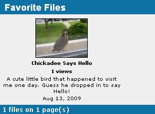 Visitor's Favorites
